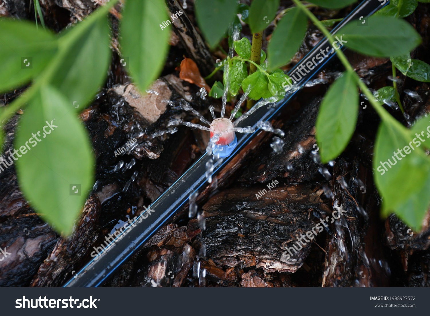 ENERGY PLUS WATER image